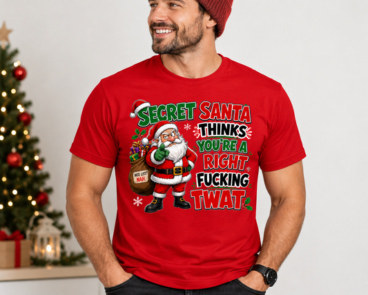 Secret Santa Thinks You're a Right Fucking Twat Christmas T-Shirt